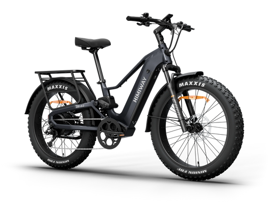 Himiway D5 2.0 Full Suspension E-Bike